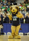 NCAA bracket: Ranking the 68 2019 March Madness teams by mascot