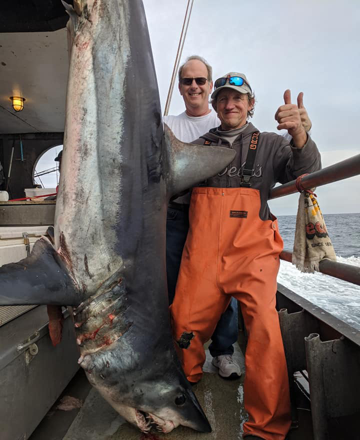 SHARK BITE FISHING GAME – Joe Whelans