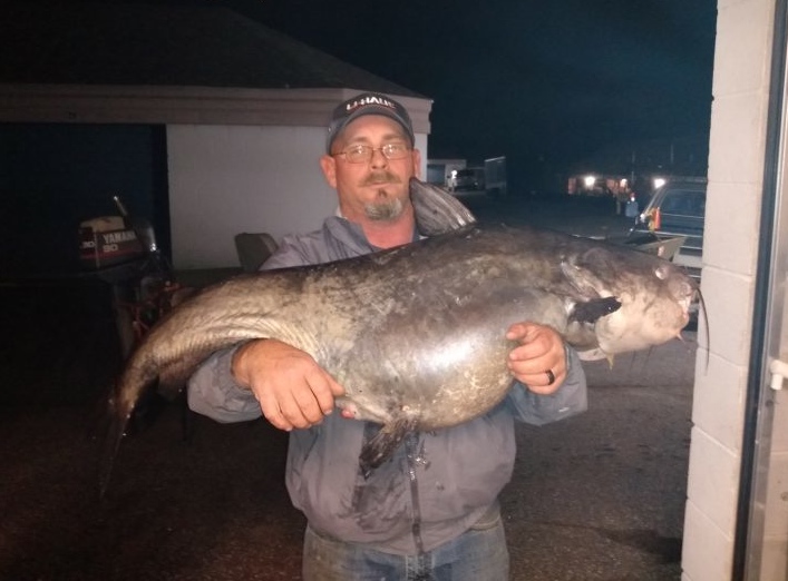 Georgia Catfish Fishing – Georgia Outdoor News