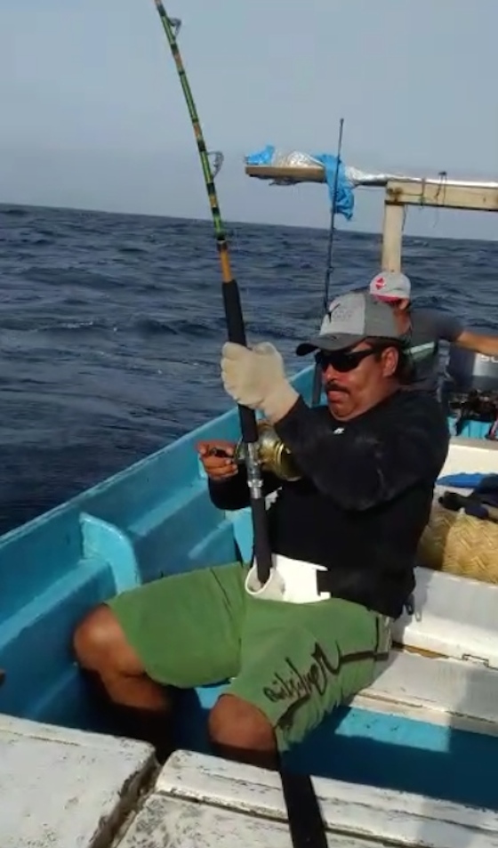 Massive marlin landed after epic struggle; feeds townsfolk