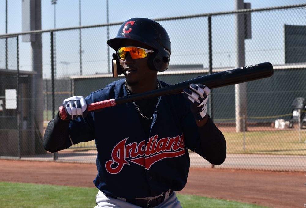 Top 10 Indians MiLB Centerfielders for 2018: A Youth and Speed Movement
