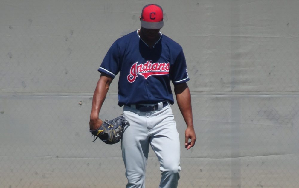 Top 15 Indians MiLB Corner Outfielders for 2018