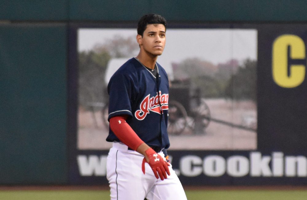 Goodtimes in Goodyear: AZL Indians 2 July 2-15