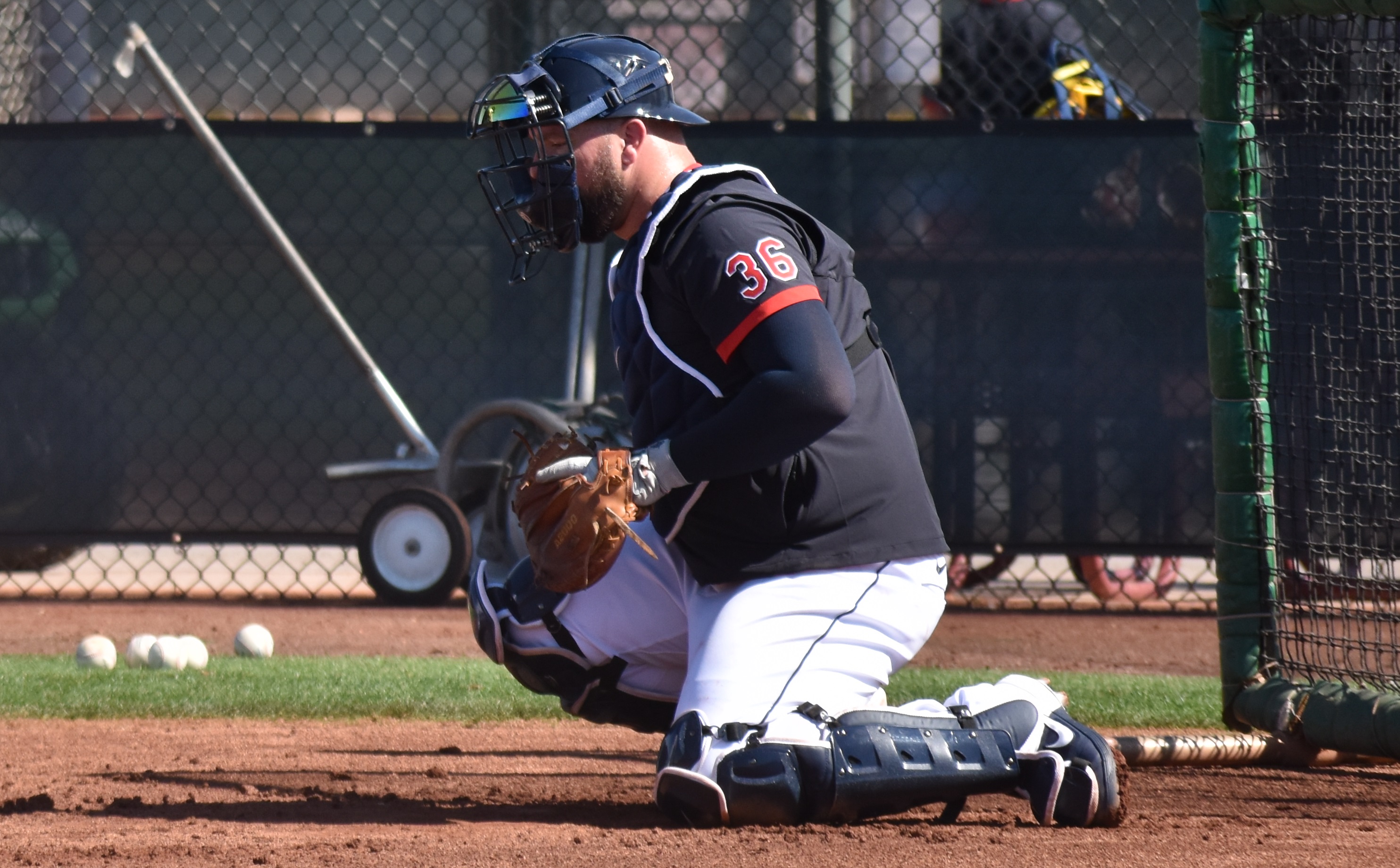 Getting to know the NRIs: Catchers