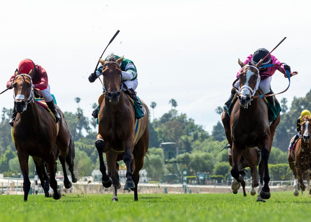 Ascot Sporting Legends Rtp