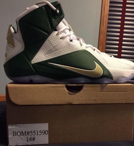 Lebron best sale 11 svsm