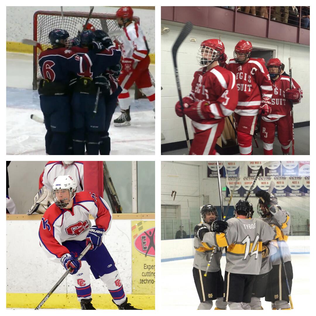 State Hockey Final Four Predictions USA TODAY High School Sports