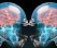 Concussion-related lawsuits are flowing through courts at a no-huddle pace. (Photo: Gannett Illustration)