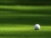Golf ball on the green