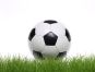 Soccer ball on grass