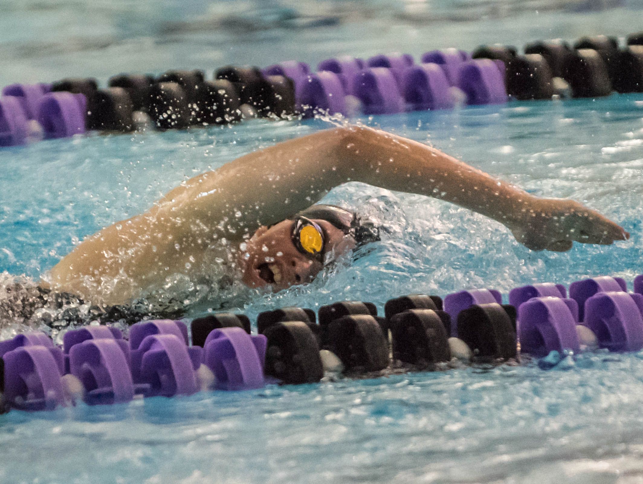 Lakeview's Allison Shenefield competes in the 100 Yard Freestyle during the 2016 All-City Swim Meet held at Lakeview on Saturday.