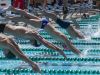 Boy swimmers jump off the blocks during one of the races Monday morning as part of the Lee County Athletic Conference swimming championships held at FGCU.