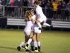 Hendersonville players celebrate after winning the District 9-AAA Tournament championship match on Wednesday evening.
