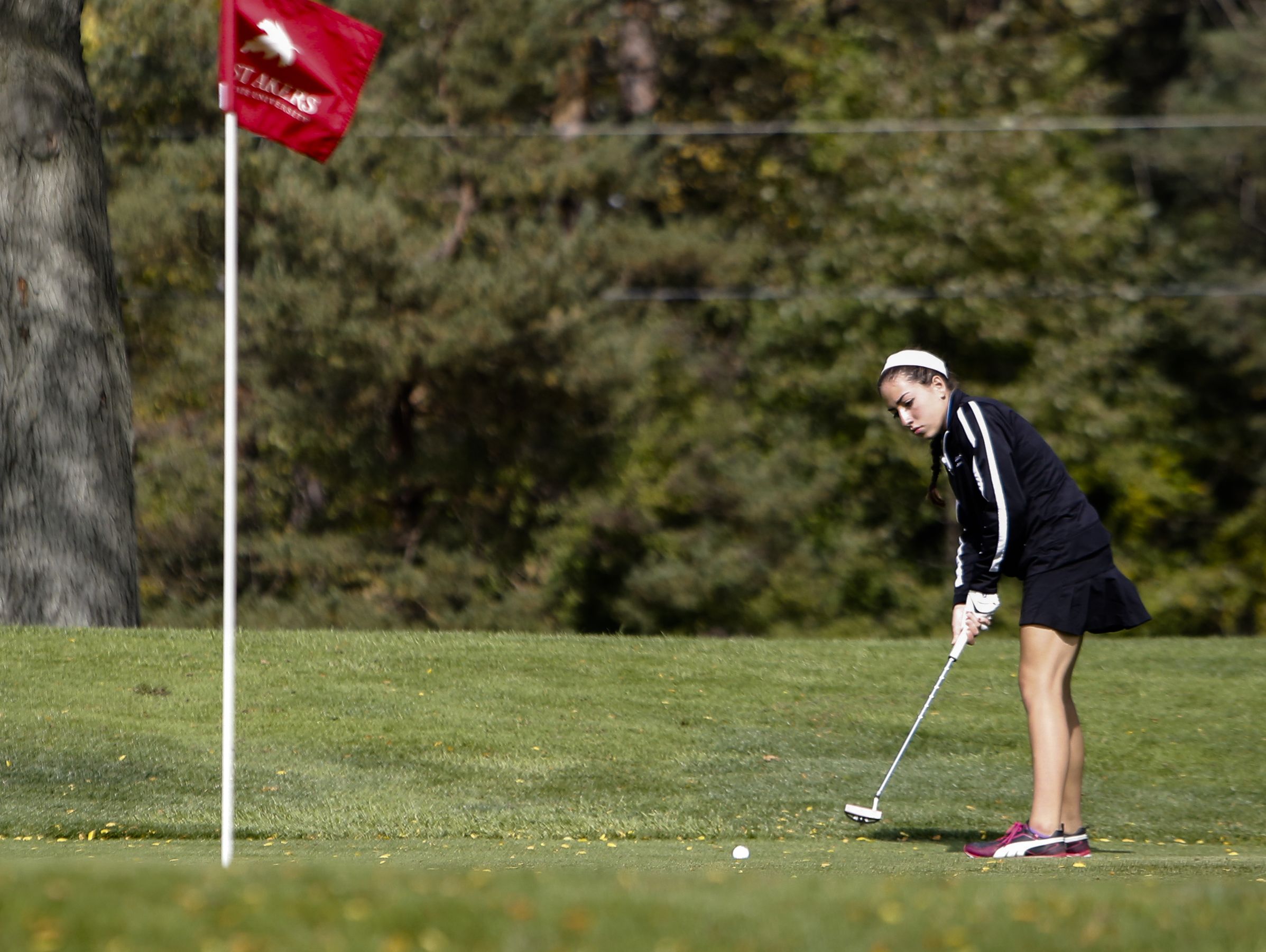 Lansing Catholic senior Alyssa Rodriguez putts on the seventh green during the Div. 4 Girls Golf Finals October 15, 2016, at Forest Akers West at Michigan State University.