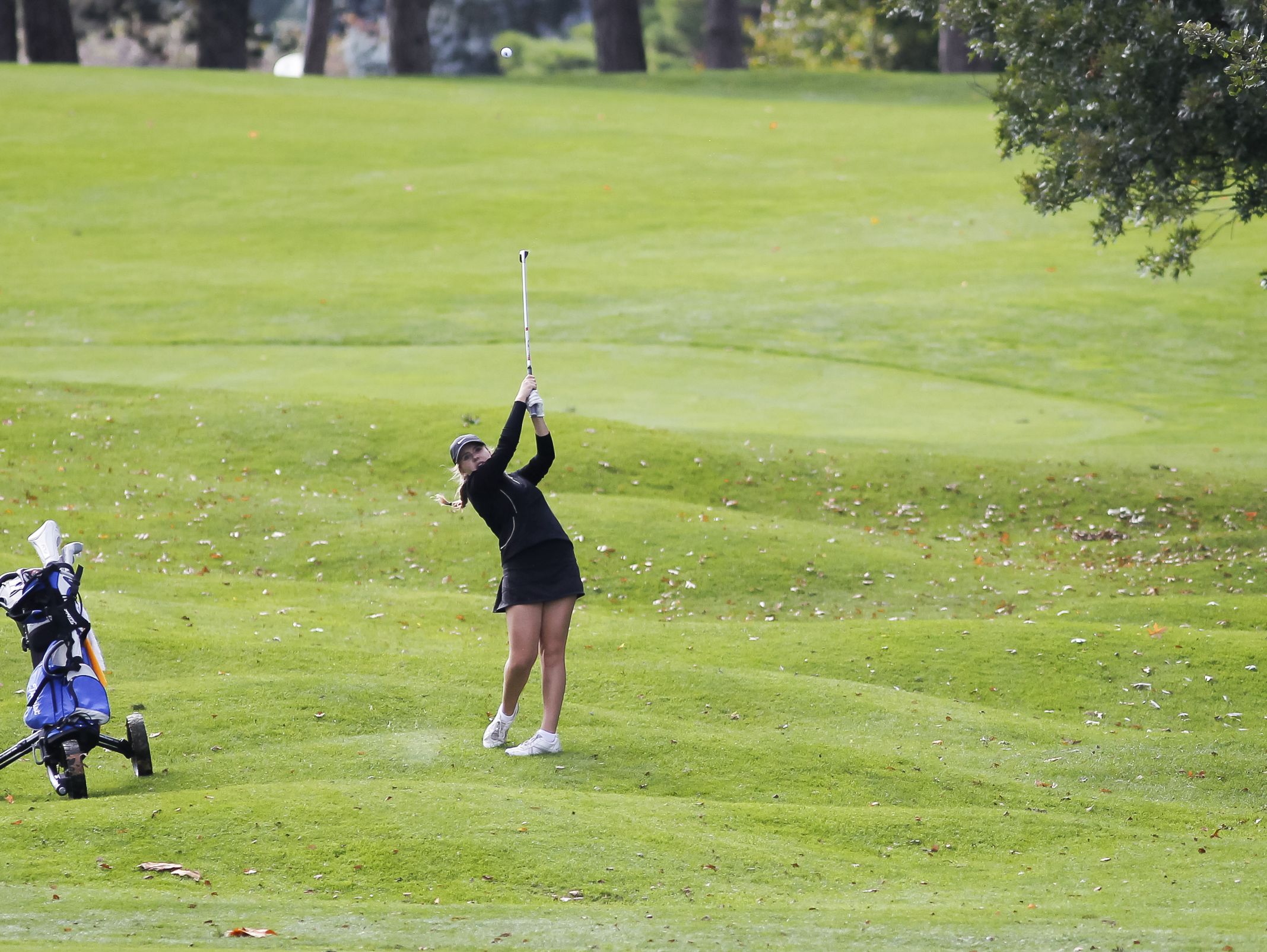 Lansing Catholic freshman Addison Johns works the fifth hole fairway during the Div. 4 Girls Golf Finals October 15, 2016, at Forest Akers West at Michigan State University.