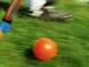 Field hockey seedings