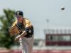 Port Huron Northern's Brett Manis throws a pitch during a regional baseball game Saturday, June 11, 2016 at Anchor Bay High School.