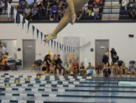 Port Huron Northern's Hallie Roman practices before the diving portion at the St. Clair County girls swim meet on Sept. 29, 2016.