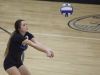 Croswell-Lexington's Claire Knapp digs the ball during a volleyball game Thursday, Oct. 27, 2016 at Armada High School.