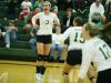 Wilson Memorial's Hannah Johnson celebrates as the Green Hornets win the first game against East Rockingham during the Conference 36 quarterfinal match at Wilson Memorial in Fishersville on Tuesday, Nov. 1, 2016.