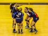 Members of the Lakewood volleyball team celebrate their straight set win over Olivet during their Class B regional semifinal game Tuesday, Nov. 8, 2016, in Fowlerville.