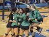 Brown City players celebrate winning a Class C regional volleyball game Thursday, Nov. 10, 2016 at Flint Hamady High School.