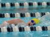 Victor's Abby Fenn swims the 500 yard freestyle.