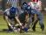 Chandler High sophomore LB Zach Bowers (44), senior OLB/LS Sam Pepper (9) and senior OLB Michael Kelly (30) chase down a loose ball in a game this season (Photo: Ben Moffat/azcentral sports)
