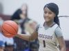 Hodgson Vo-Tech Guard Ja-Naiah Perkins-Jackson (1) dribbles the ball up the floor during a Diamond State Classic game Wed. Dec. 28, 2016 at Saint Elizabeth's High School in Wilmington.