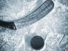 Hockey Stick and Puck