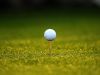 Harrison Yu fired a 4-over 40 Friday to lead the Desert Christian boys golf team to 244-288 league victory over Lutheran High School of Laverne.