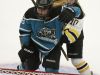 Bay Area Ice Bears forward Megan Saari (8) celebrates after scoring in the 3rd period against the Hayward Hurricanes during a girls semifinal match at the WIAA state hockey tournament on Friday at the Alliant Energy Center.